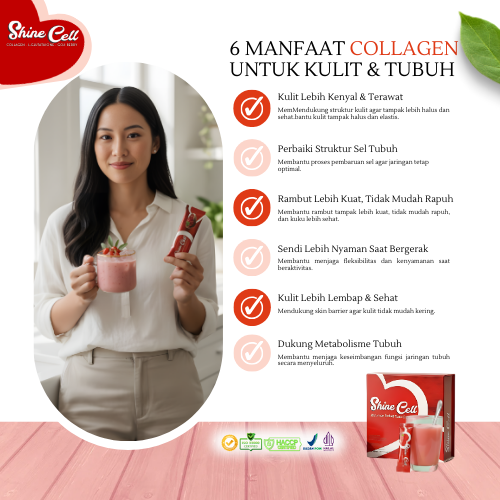 SHINE CELL Paket Intensive – Program Glowing Maksimal & Perawatan Kulit Intensif - Gambar 5